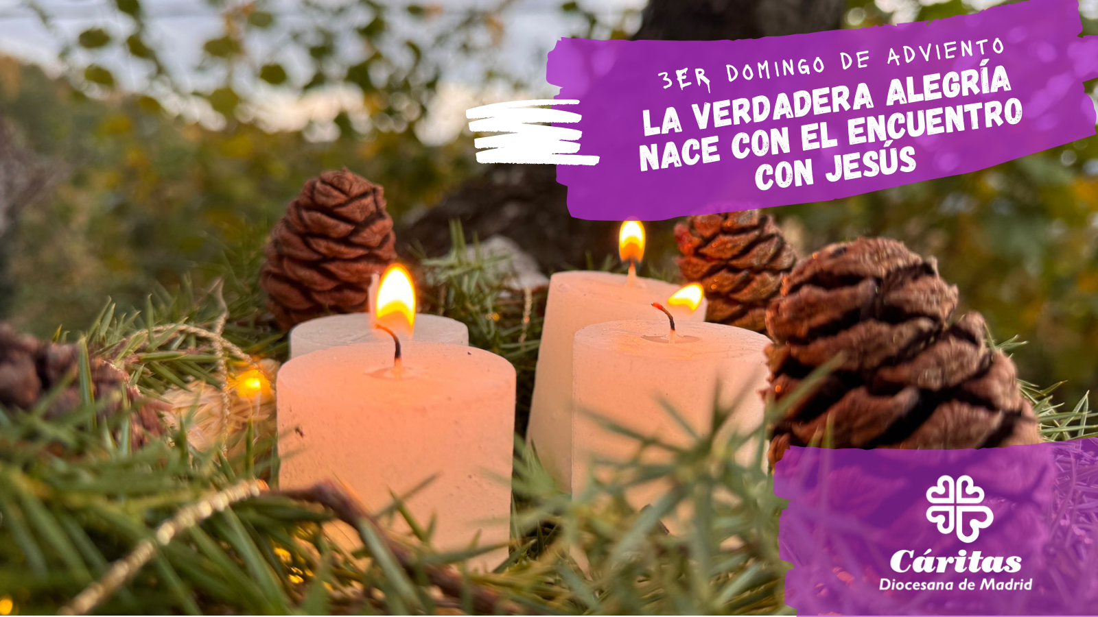 La verdadera alegría nace en el encuentro con Jesús. Tercer domingo de