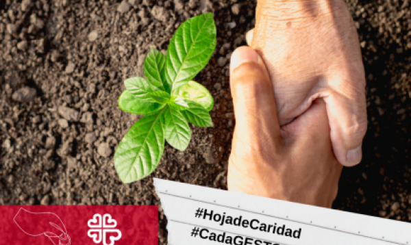 HOJA DE CARIDAD DE NOVIEMBRE