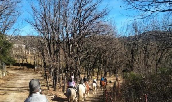  ABRIENDO UN NUEVO AÑO LLENO DE ESPERANZA: CUIDADO DEL PLANETA, COMPAÑERISMO Y AUTONOMÍA