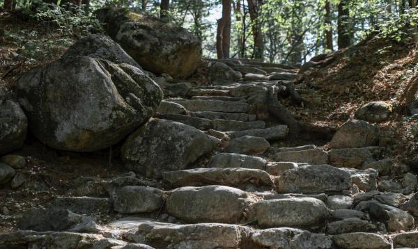 abrir-nuevos-caminos-linea-pastoral-arzobispo