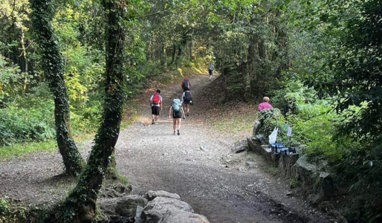 camino-santiago-jovenes-residencial-sinodo-vicariaVI-caritas-madrid