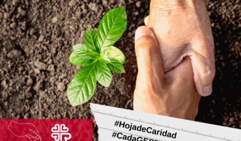 HOJA DE CARIDAD DE NOVIEMBRE