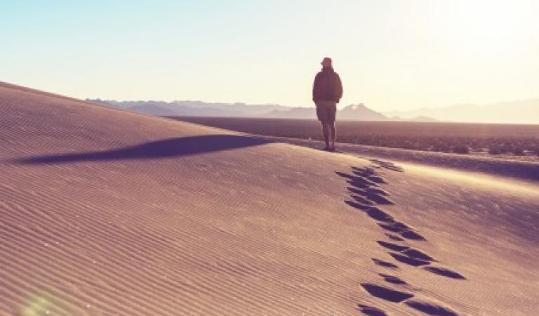 PREPARAR EL SÍNODO EN LA DINÁMICA DEL ÉXODO Y DEL DON