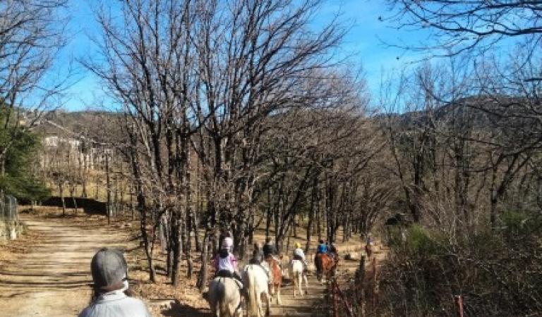  ABRIENDO UN NUEVO AÑO LLENO DE ESPERANZA: CUIDADO DEL PLANETA, COMPAÑERISMO Y AUTONOMÍA