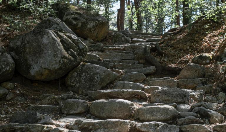 abrir-nuevos-caminos-linea-pastoral-arzobispo