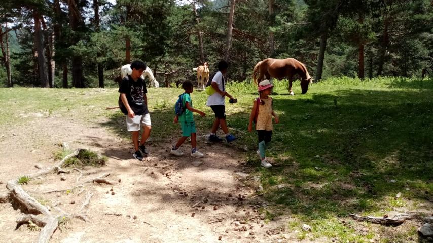 menores-jovenes-ocio-inclusion-verano-caritas-madrid-5